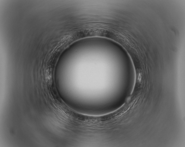 X0000113290771200909141204