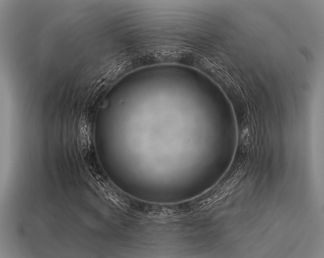 X0000113290772200909141204