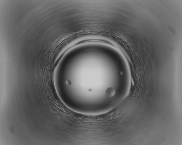 X0000113290773200909141204