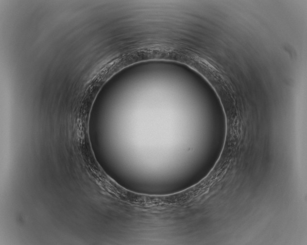 X0000113290774200909141204