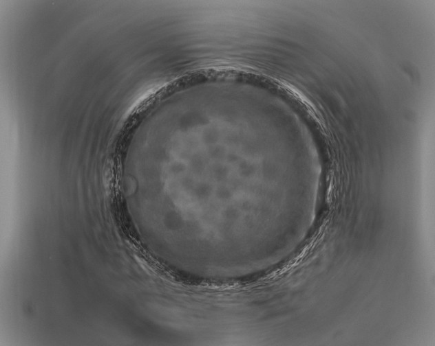 X0000113290775200909141204