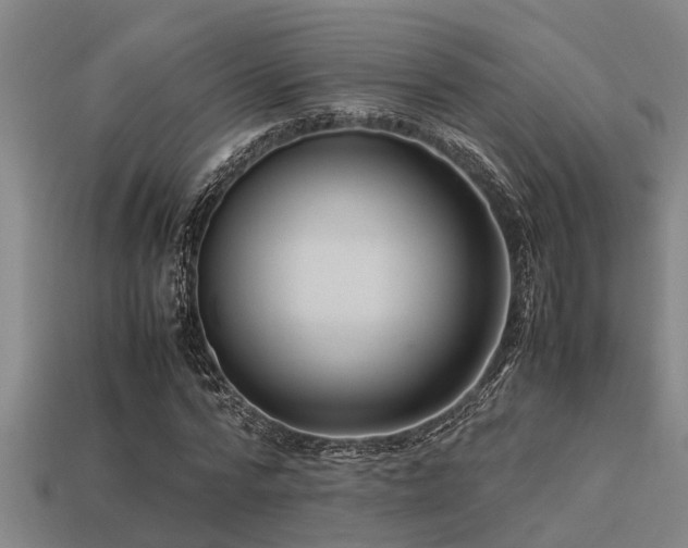 X0000113290776200909141204