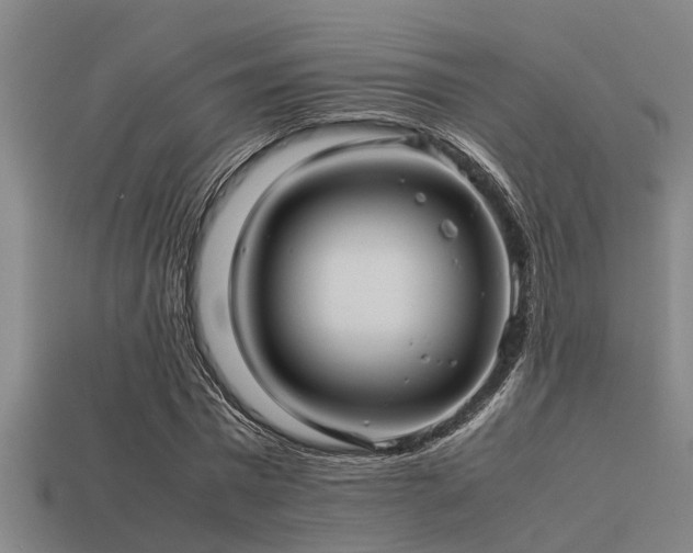 X0000113290777200909141204