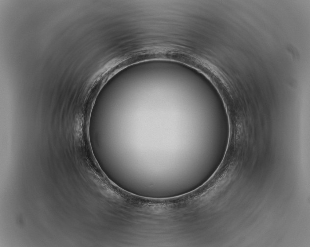 X0000113290778200909141204