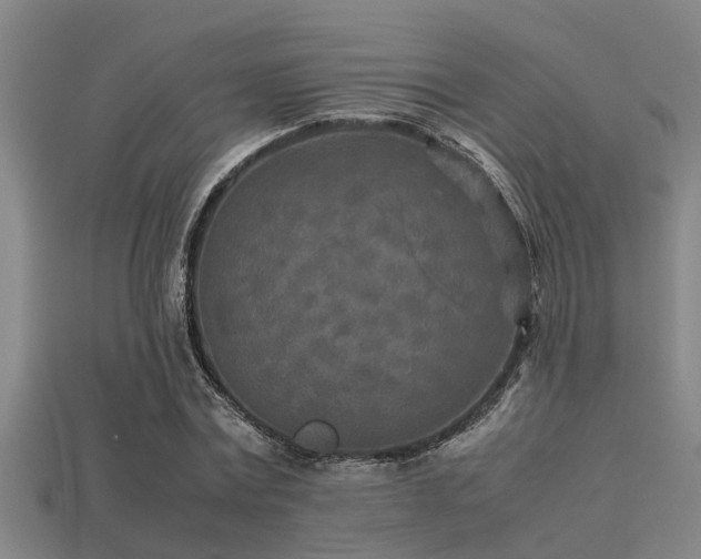 X0000113290779200909141204