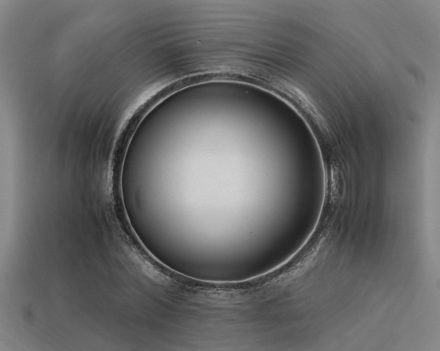 X0000113290780200909141204