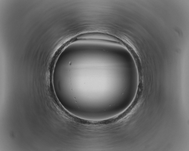 X0000113290781200909141204