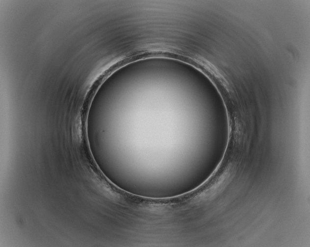 X0000113290782200909141204