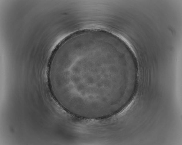 X0000113290783200909141203