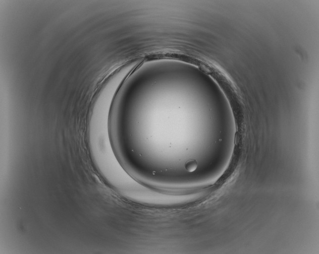 X0000113290785200909141203