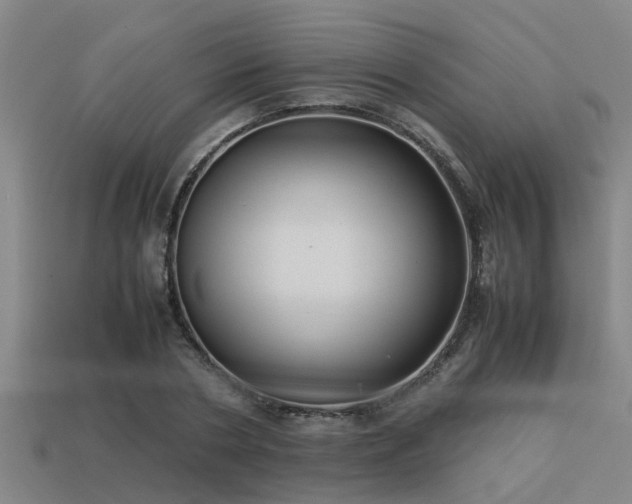 X0000113290786200909141203