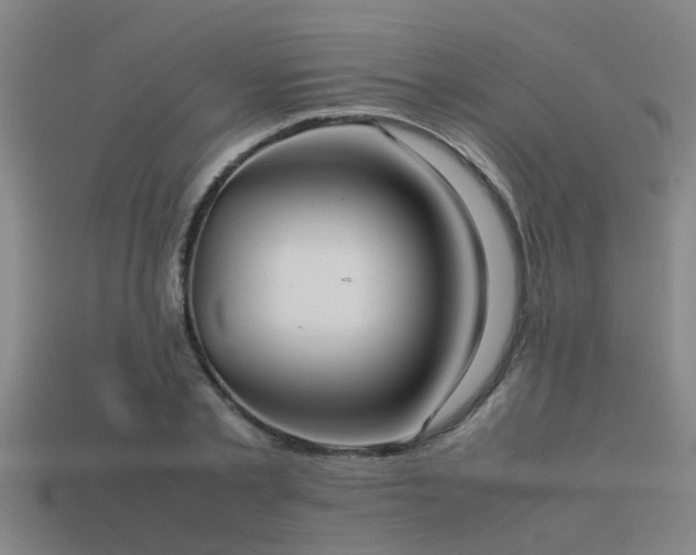 X0000113290789200909141203