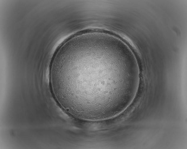 X0000113290791200909141203