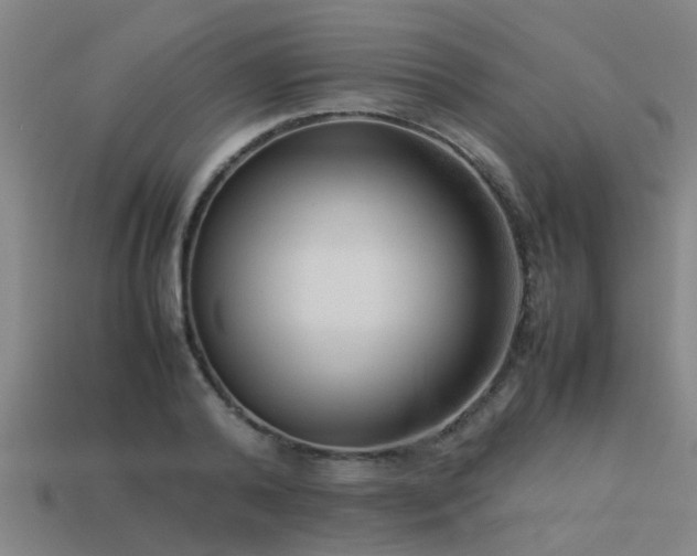 X0000113290792200909141203