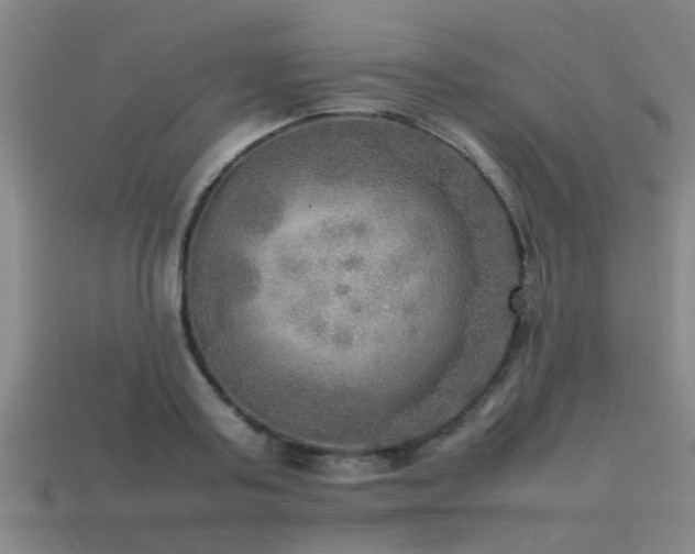 X0000113290795200909141203