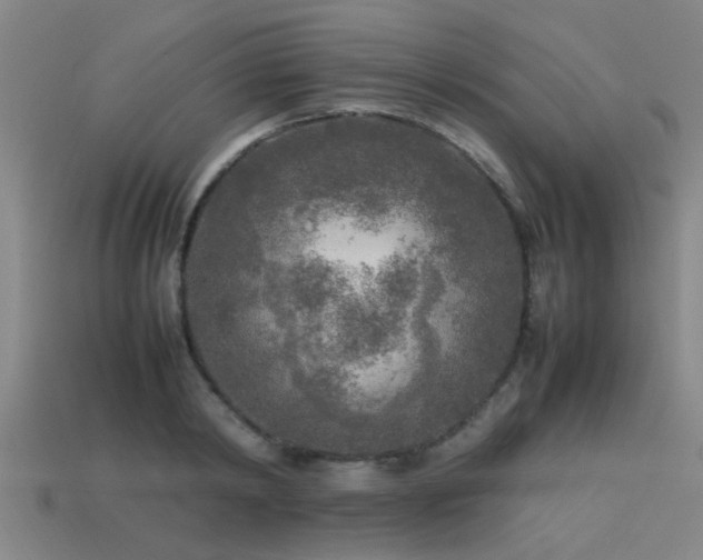 X0000113290798200909141203