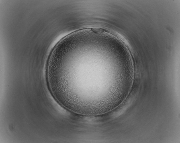 X0000113290803200909141203