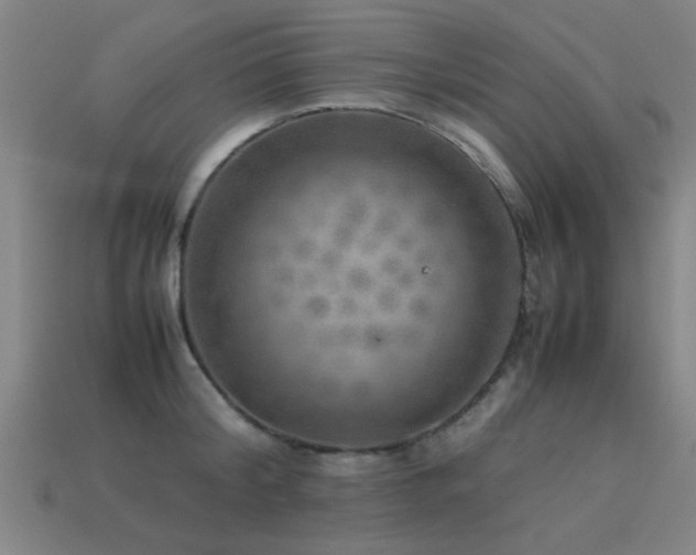 X0000113290804200909141203