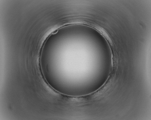 X0000113290805200909141203