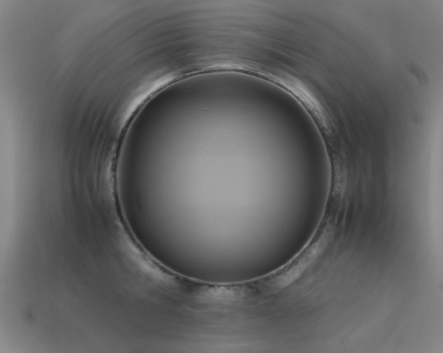 X0000113290806200909141203