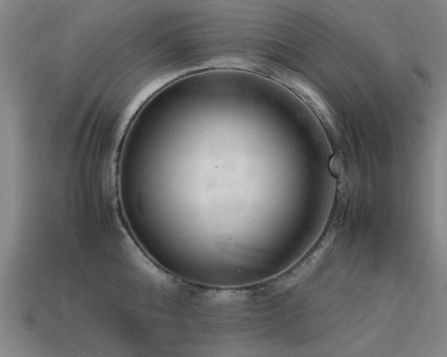 X0000113290808200909141203