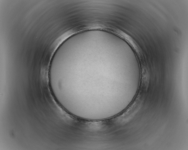 X0000113290810200909141203