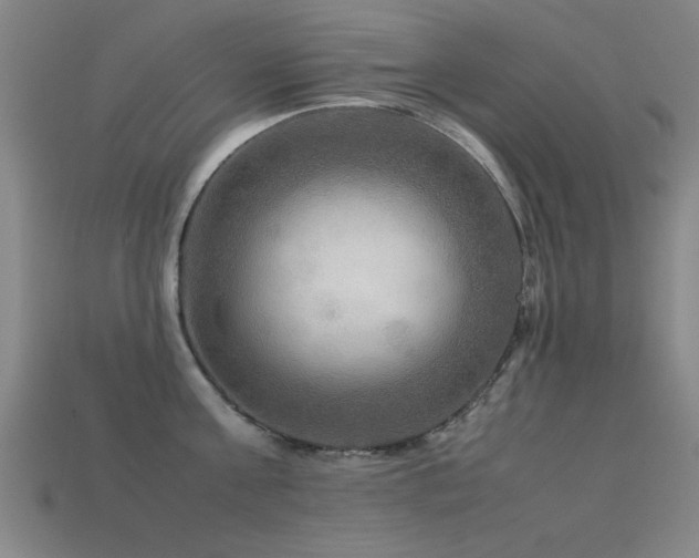 X0000113290811200909141203