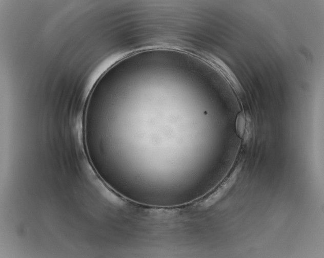 X0000113290812200909141203