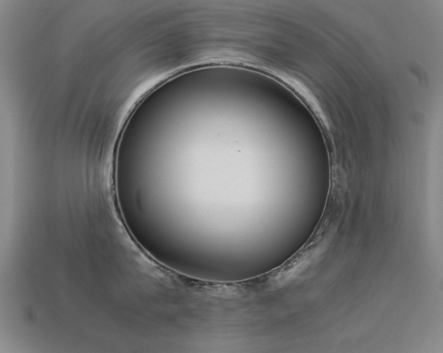 X0000113290815200909141203