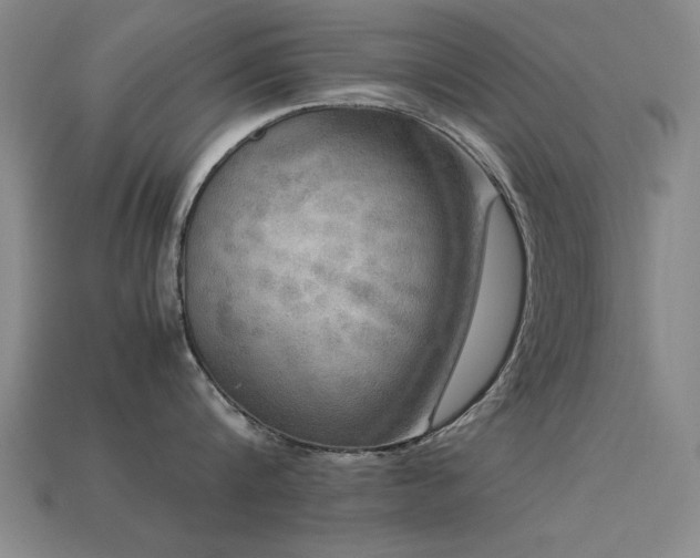 X0000113290816200909141203