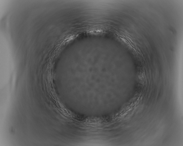 X0000113290817200909141202