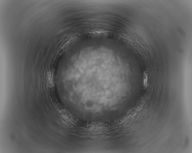 X0000113290819200909141202