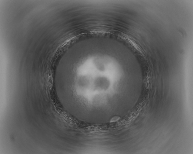 X0000113290821200909141202