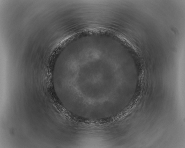 X0000113290822200909141202