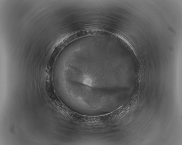 X0000113290823200909141202