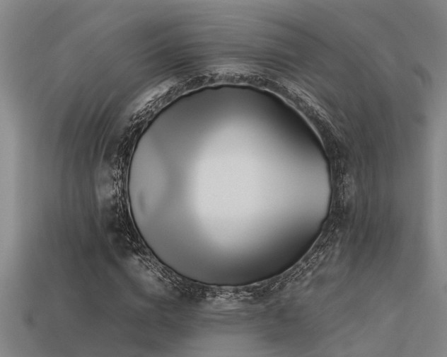 X0000113290824200909141202