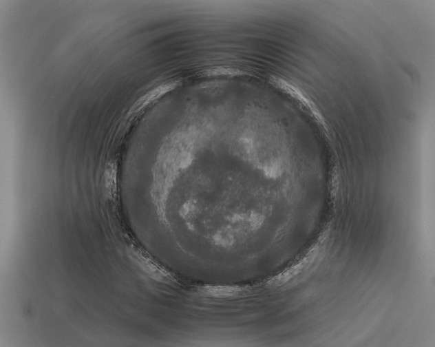 X0000113290825200909141202