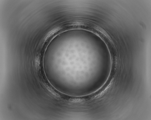 X0000113290826200909141202