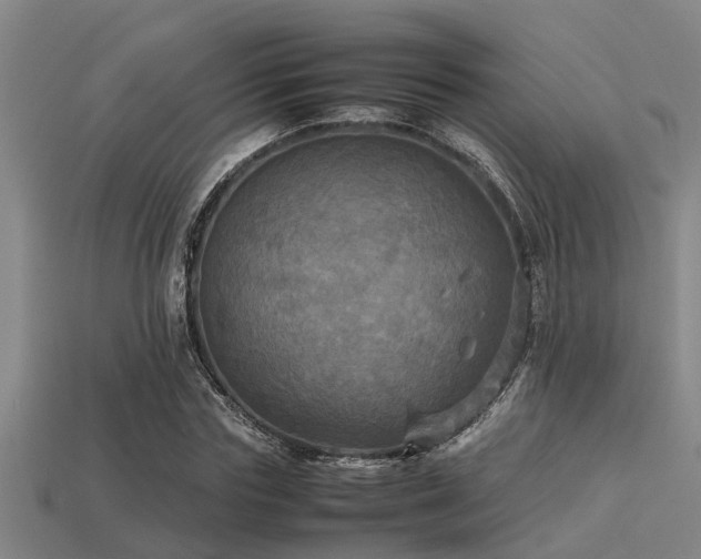 X0000113290827200909141202