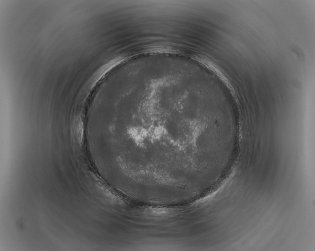 X0000113290829200909141202