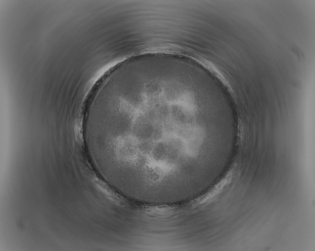 X0000113290830200909141203