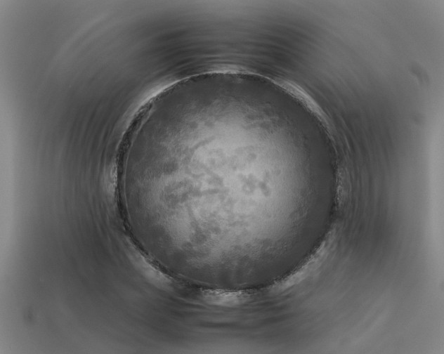 X0000113290831200909141203