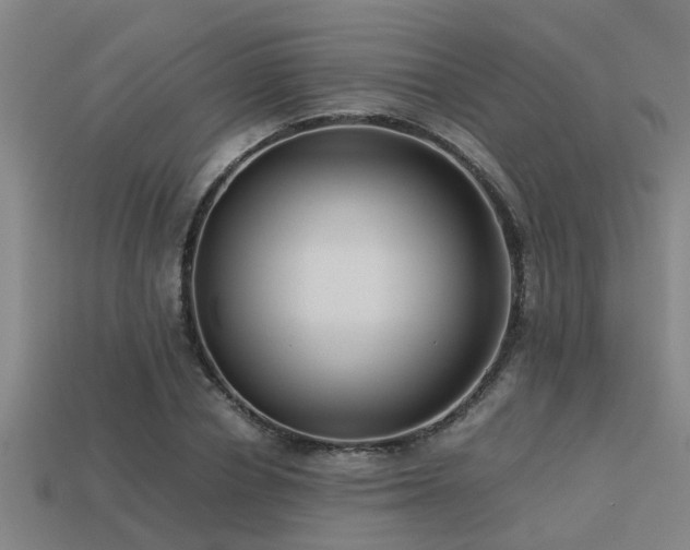 X0000113290834200909141203