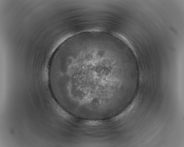 X0000113290835200909141203