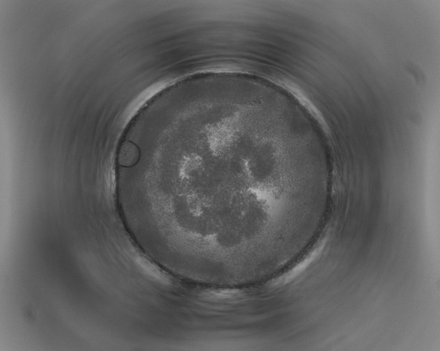 X0000113290837200909141203