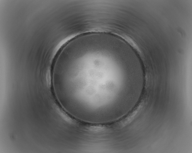 X0000113290838200909141203