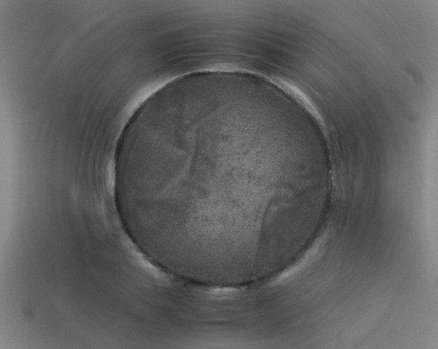 X0000113290839200909141203