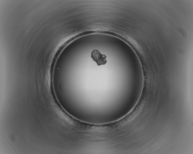 X0000113290840200909141203