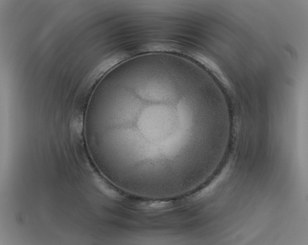 X0000113290841200909141203