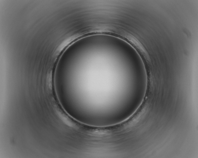 X0000113290842200909141203